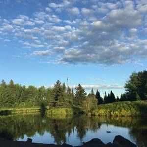 Meet your Posher, Yara